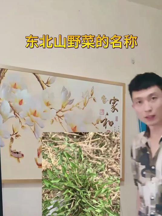 东北山野菜的名称，都认识的话可以说相当有生活了