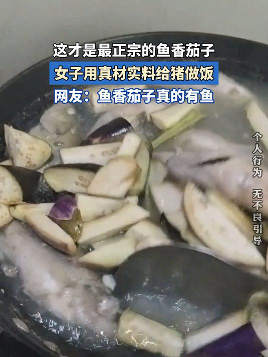 这才是最正宗的鱼香茄子,女子用真材实料给猪做饭