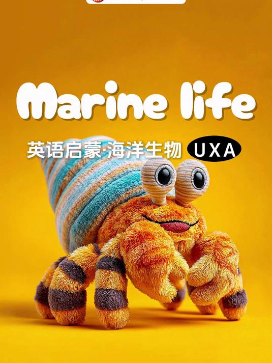 一口气学会6个海洋生物的英文