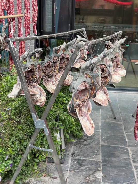 腊王八