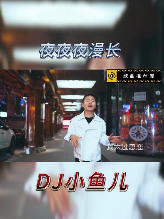 网络歌曲DJ小鱼儿 - 夜夜夜漫长