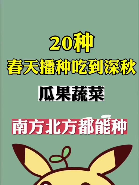 四季可种蔬菜种子大全，现在正是种植的好时机！