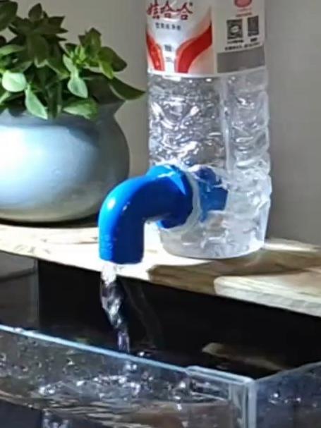 用塑料瓶自制的过滤器,鱼缸水质直接变“空气缸”