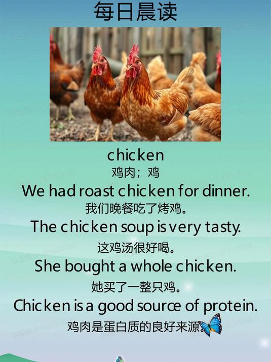 每日晨读_小学英语_chicken