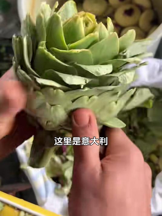欧洲“蔬菜之王”,高档餐厅中的标配