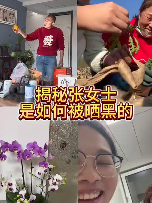 听说有人问荠菜长啥样,今天带大家去看看去