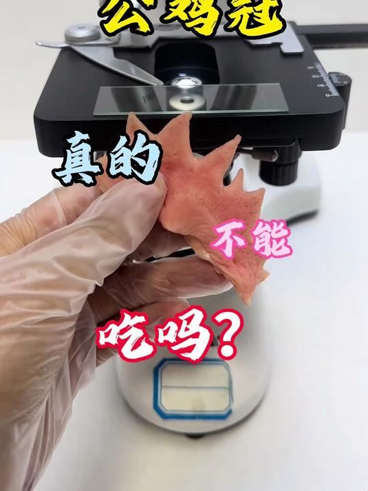 公鸡冠真的不能吃吗?