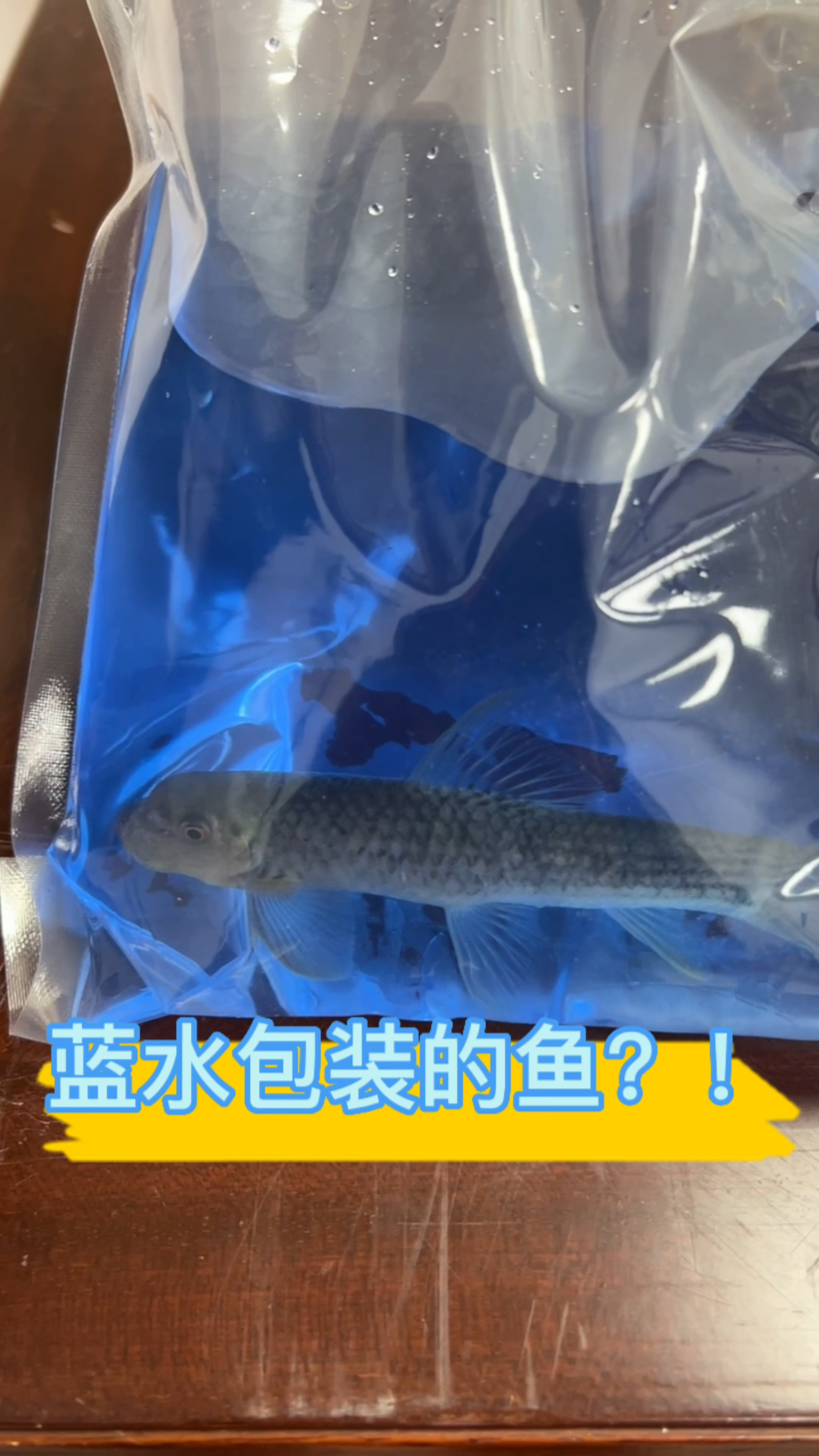 买的鱼是蓝水泡着,是为什么呢?