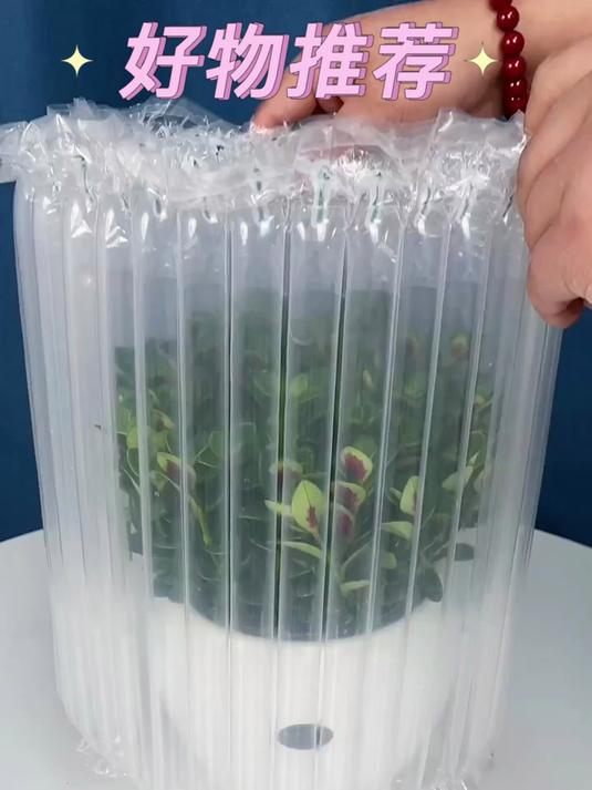 办公室甲醛超标?这款金鱼花吊兰盆栽,四季常青,懒人也能养活!