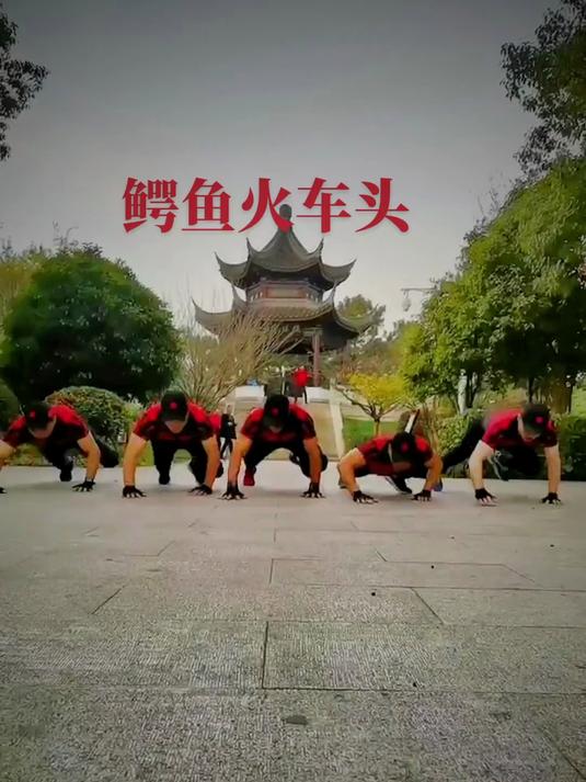 鳄鱼爬,鳄鱼火车头来啦