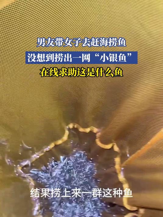 男友带女子去赶海捞鱼，没想到捞出一网“小银鱼”