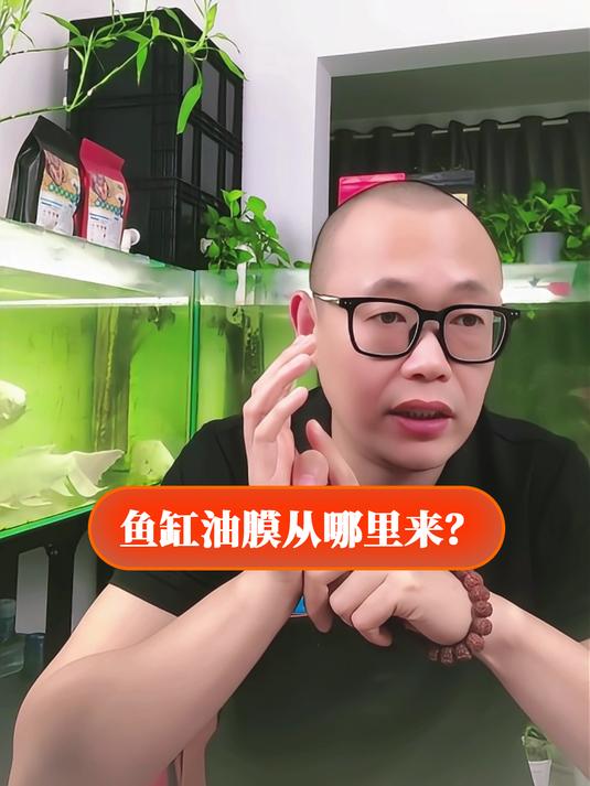 鱼缸油膜来自哪里?