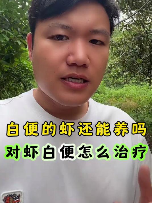 白便的虾还能养吗