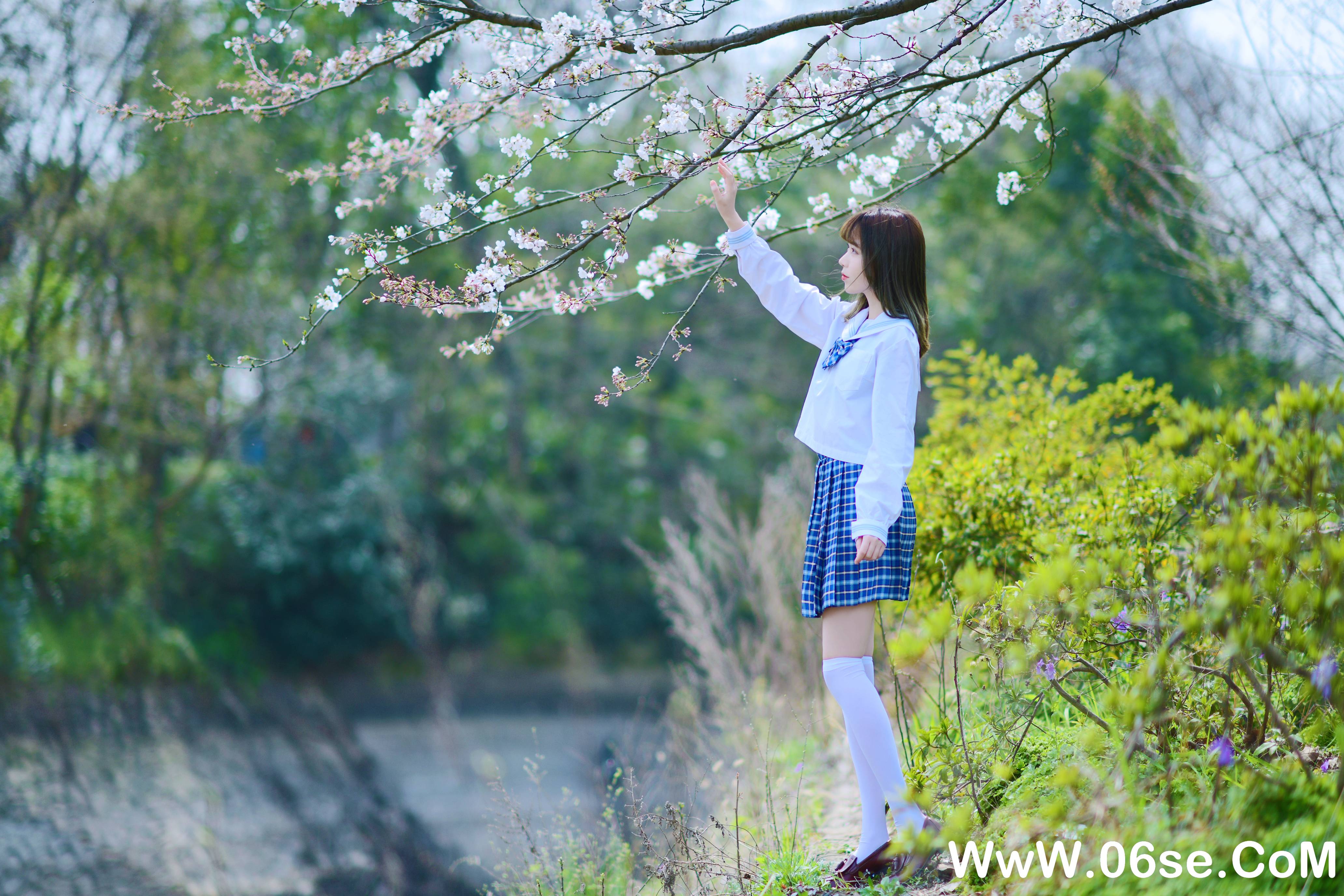 图片[16]-Fushii_海堂 NO.010 — 樱花树下[41P266M]-六色网