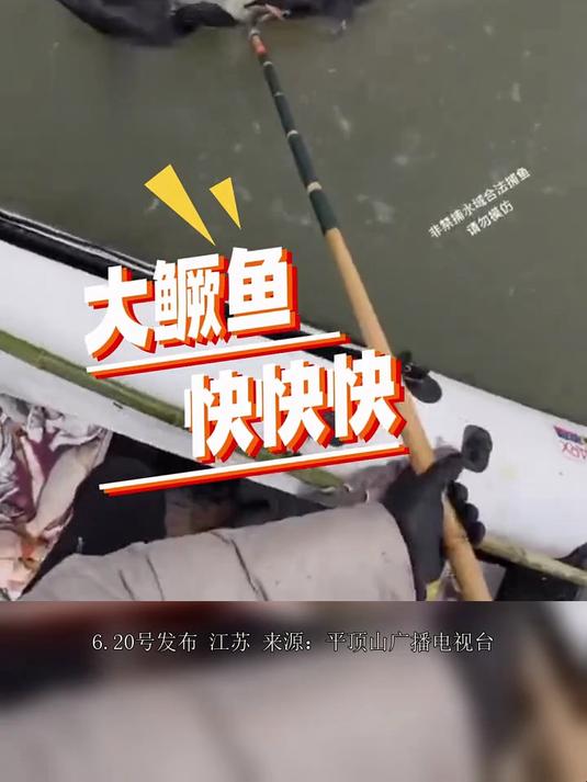 男子坚守鸬鹚捕鱼技艺20年，一只鸬鹚能捕20斤左右，这是一种传承的技艺