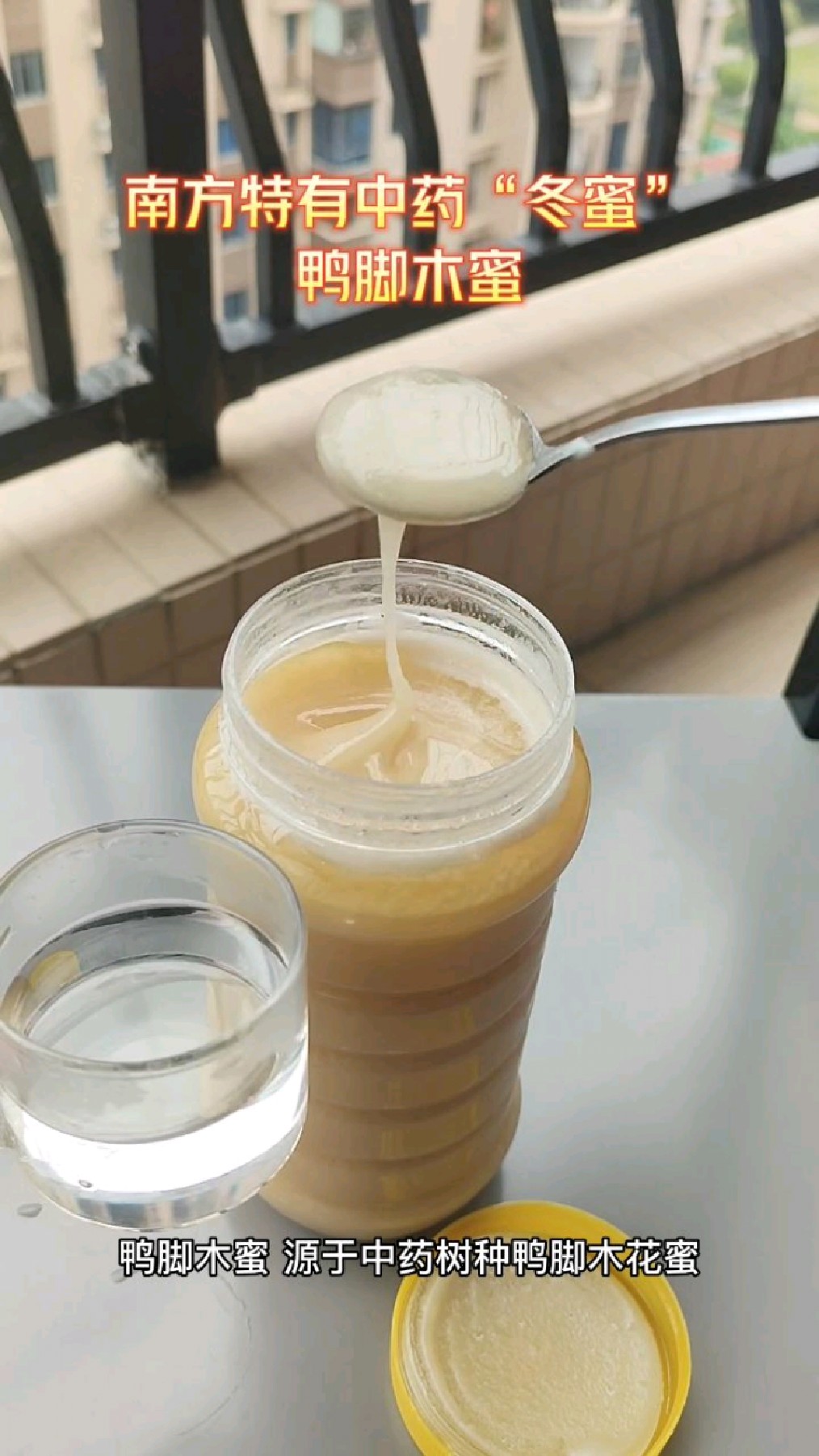 南方特有中药“冬蜜”:鸭脚木蜜,一般为浅琥珀色,较易结晶,结晶呈乳白色,颗粒细腻