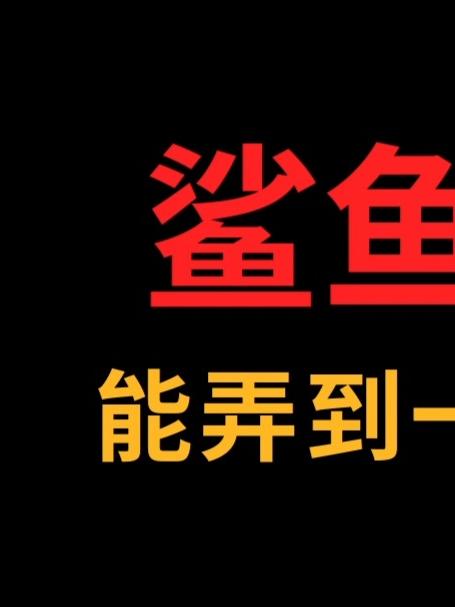 鲨鱼和B怎么巧妙结合？