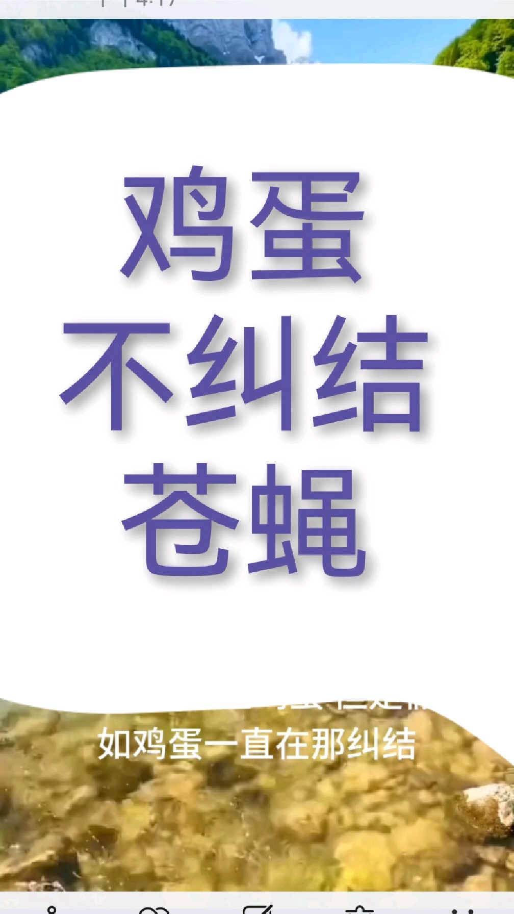 鸡蛋不纠结苍蝇
