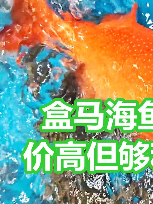 盒马的海鱼，价格偏高，但肯定够秤
