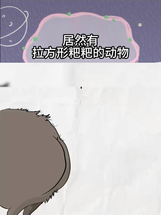 居然有拉方形粑粑的动物 奇怪的知识又增加了