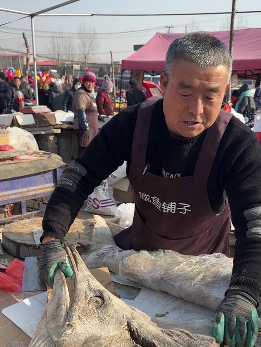 山东大集蓝鳍金枪鱼,50年老古董卖25一斤,又咸又香