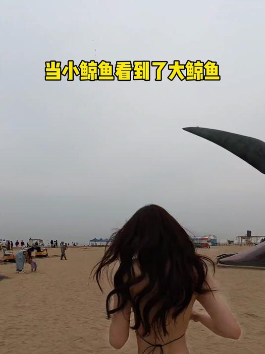 来海边看到大鲸鱼