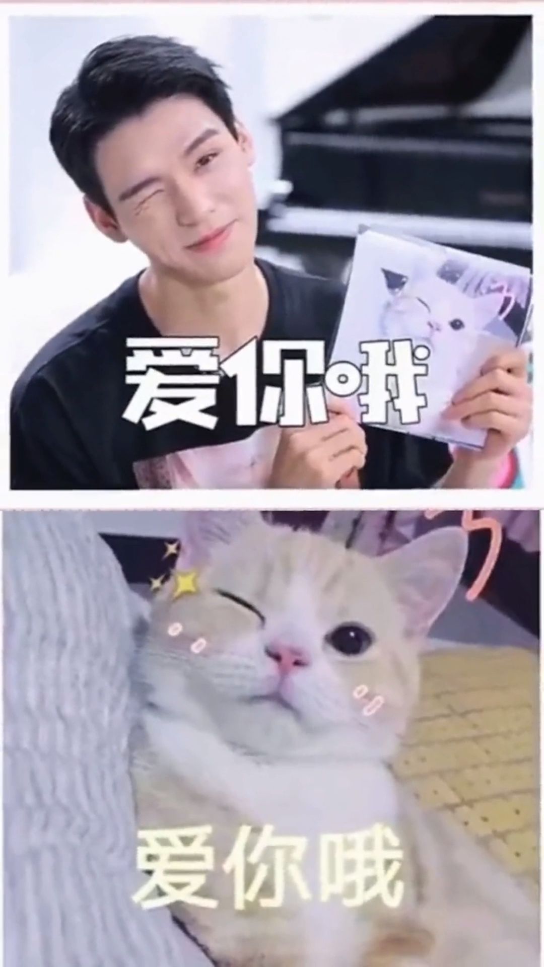 俊俊子表情包好可爱呦,你们喜欢吗