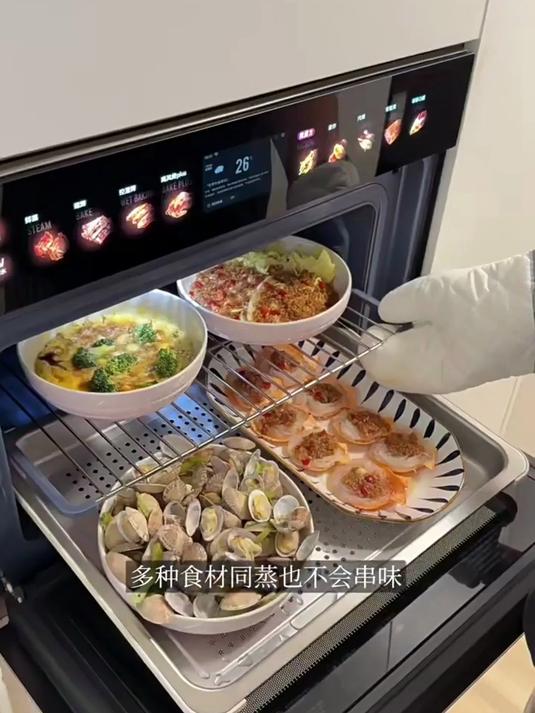 凯度嵌入式微蒸烤箱