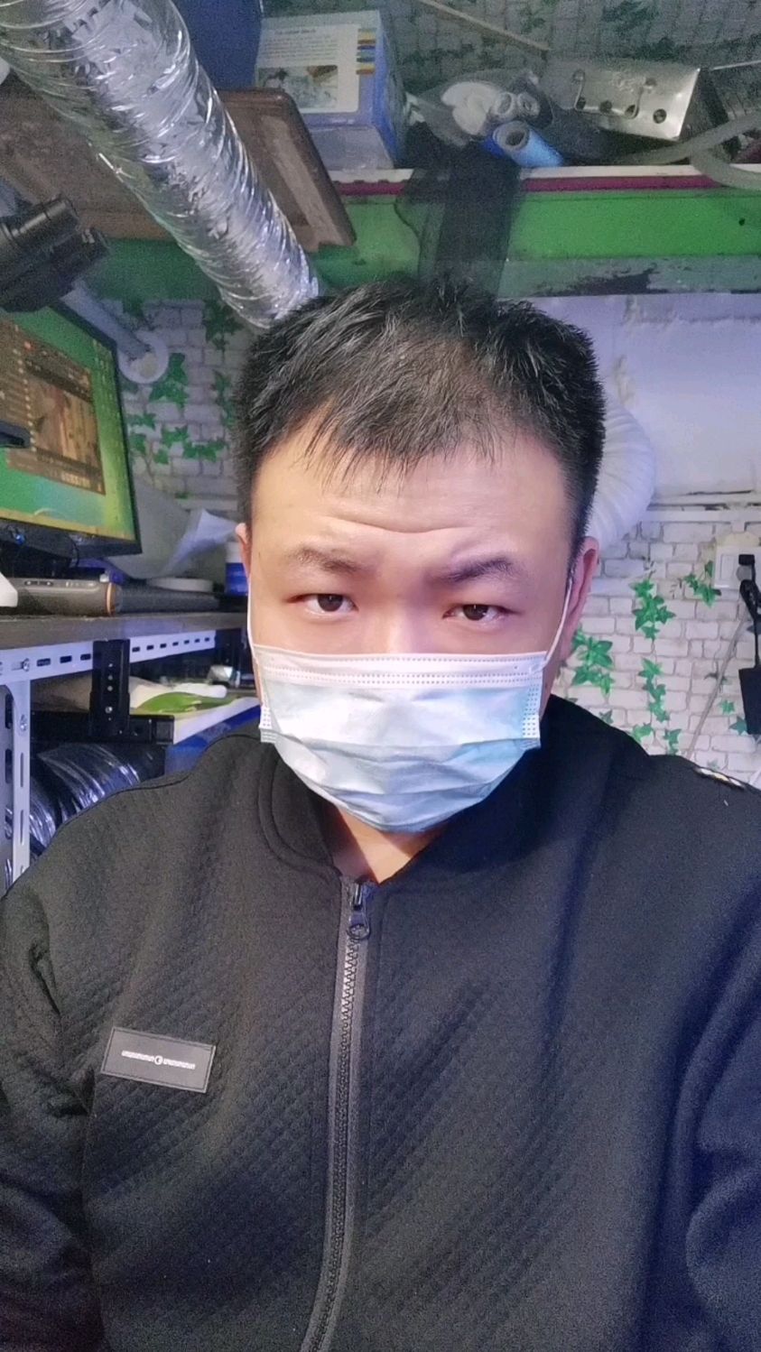 虹银汉鱼繁殖拖把制作石美人电光美人霓虹燕子都可以哦