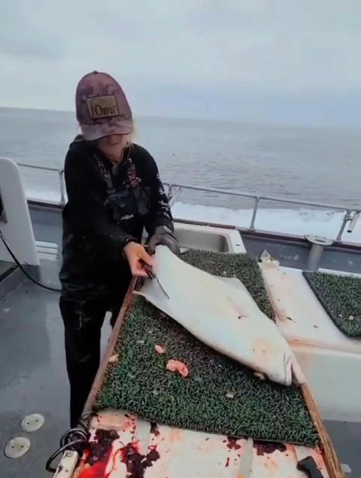 国外的小姐姐是如何杀鱼的,看起来真的很丝滑很解压啊