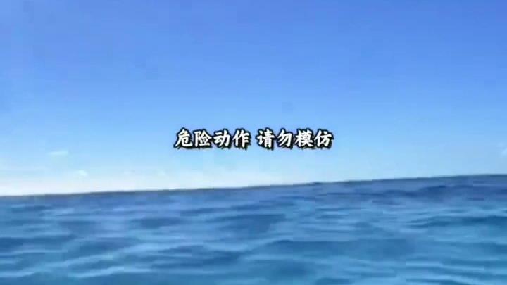 这些外形奇特的鱼类究竟能否安全食用?#鱼 #涨知识 #海鱼