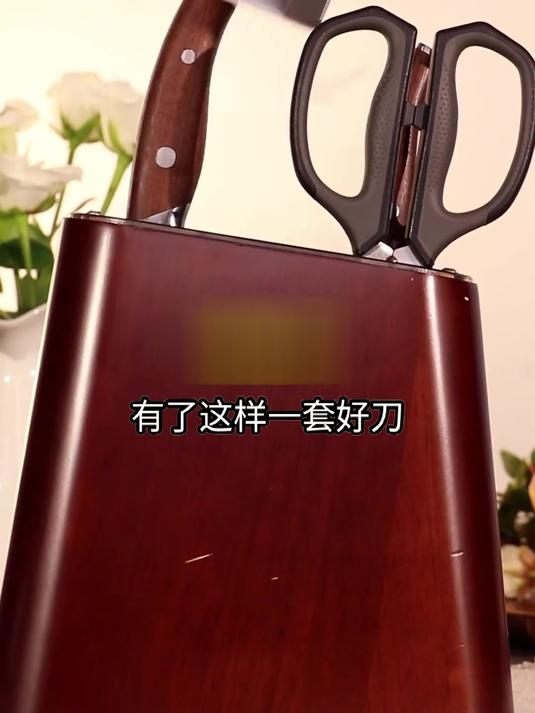 担心刀具生锈?王麻子正品刀具套装,防锈工艺,始终如新