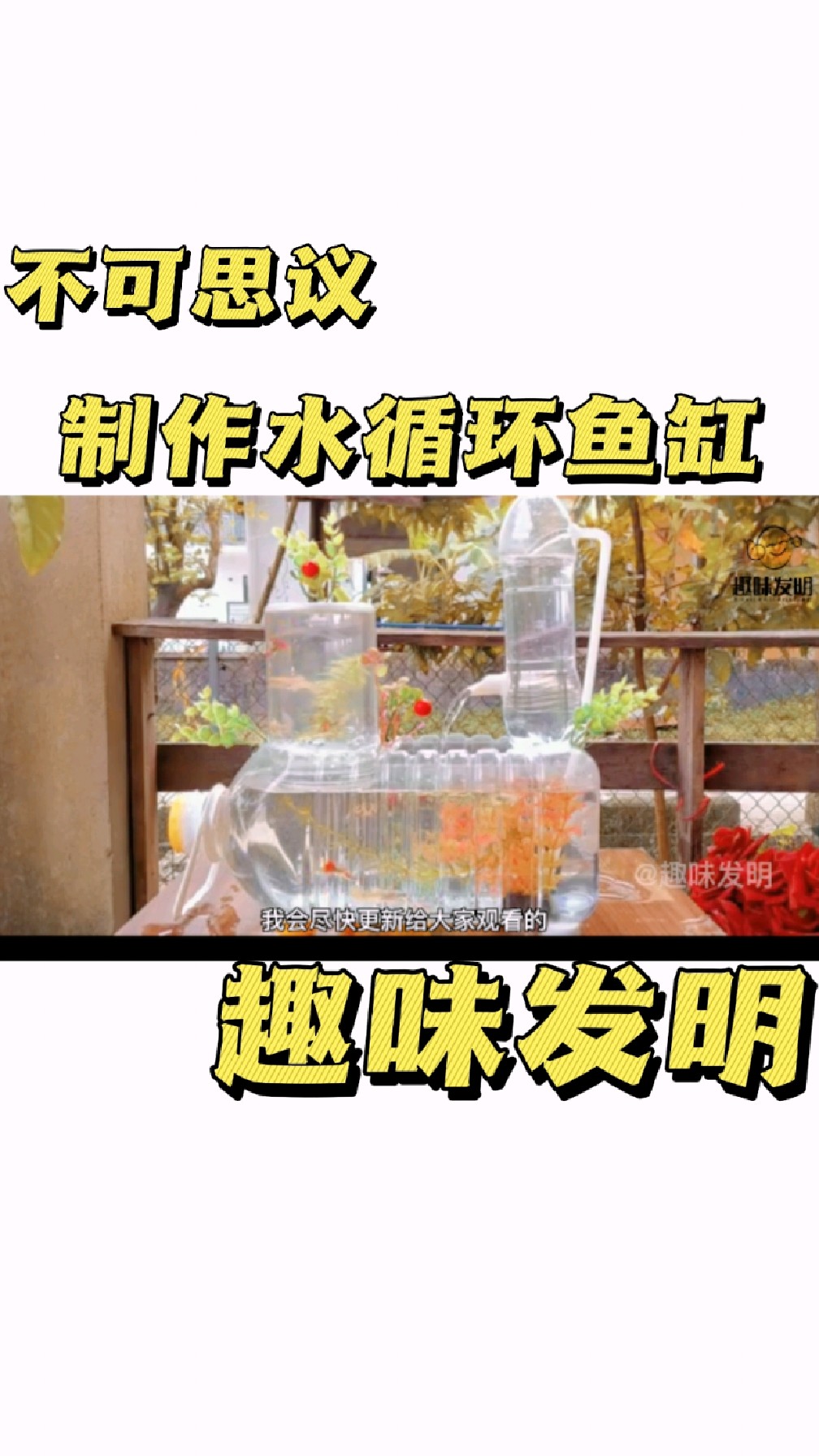用几个塑料瓶就能制作出水循环的鱼缸,太不可思议了