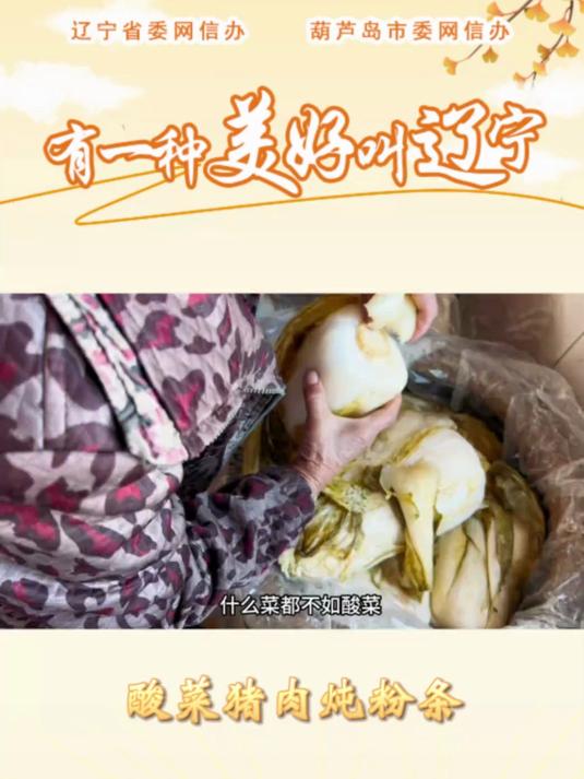 东北酸菜猪肉炖粉条