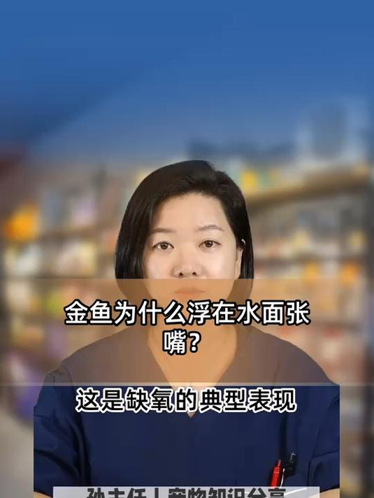 金鱼为什么浮在水面张嘴?