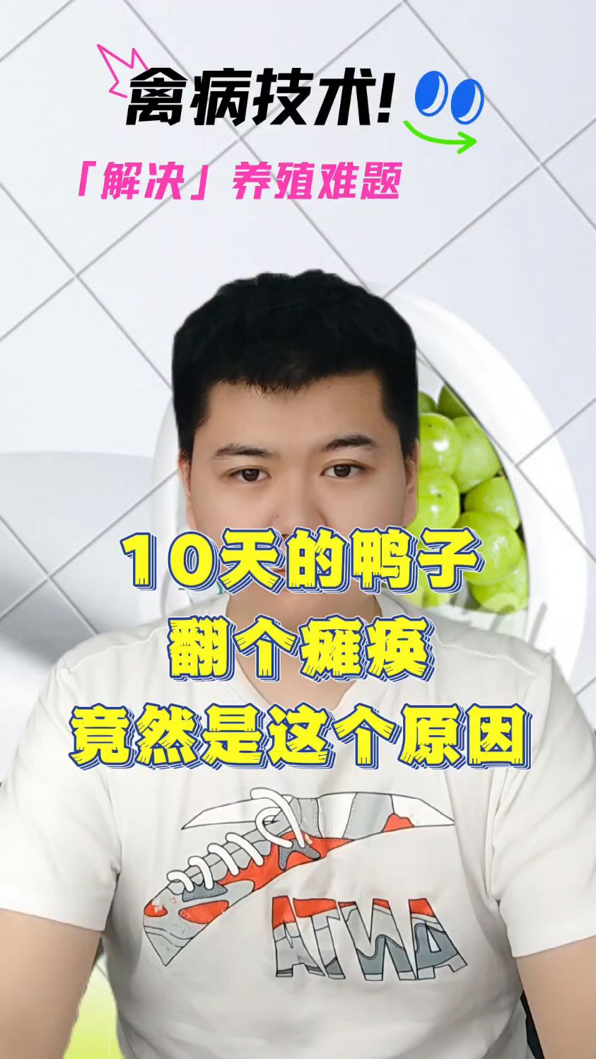 鸭子瘫痪是什么原因造成鸭瘫痪的几大原因小鸭子瘫痪了是怎么回事小鸭子瘫痪了怎么办