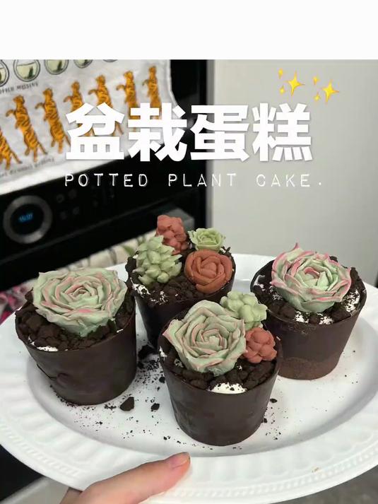 我的厨房日记 今天挑战把蛋糕做成盆栽的样子~! (生椰拿铁版)