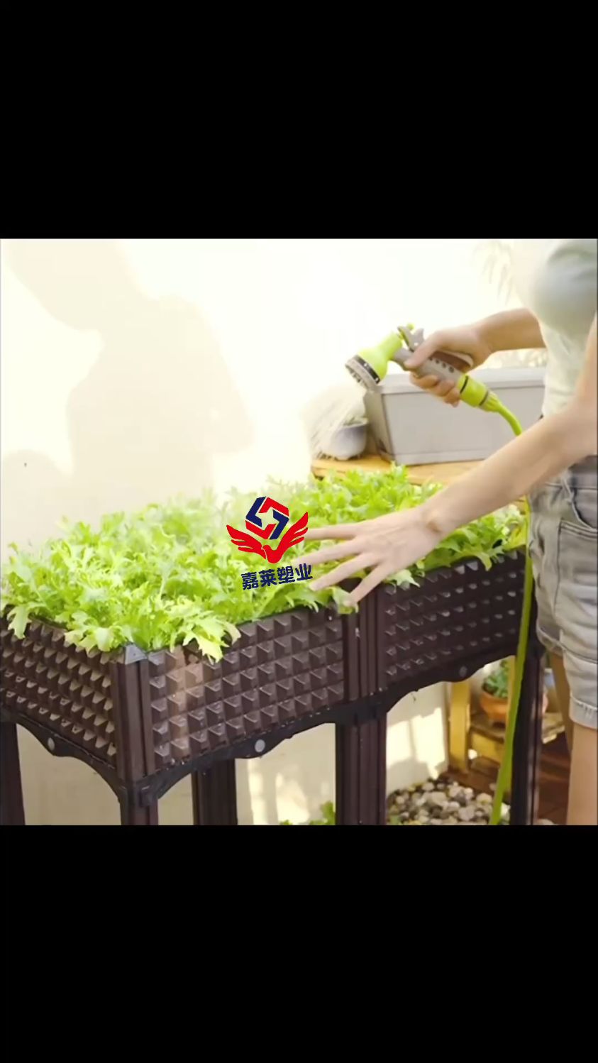 种植箱的设计简洁,操作方便,无需复杂的安装步骤,让您轻松体验家庭菜园的乐趣。