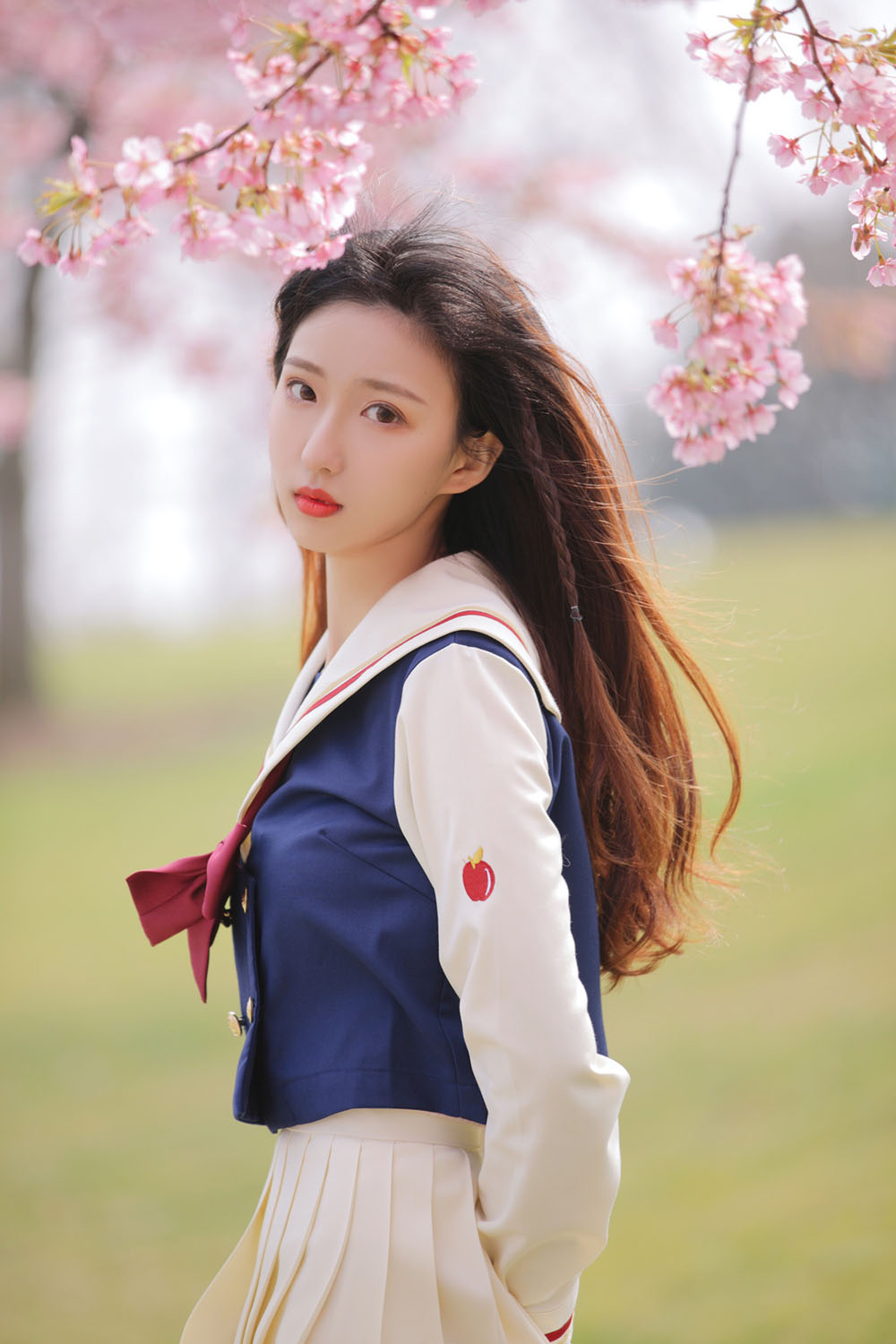 图片[20]-樱花-六色网