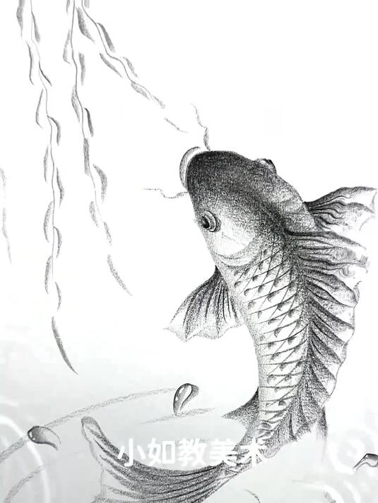 简单画鱼