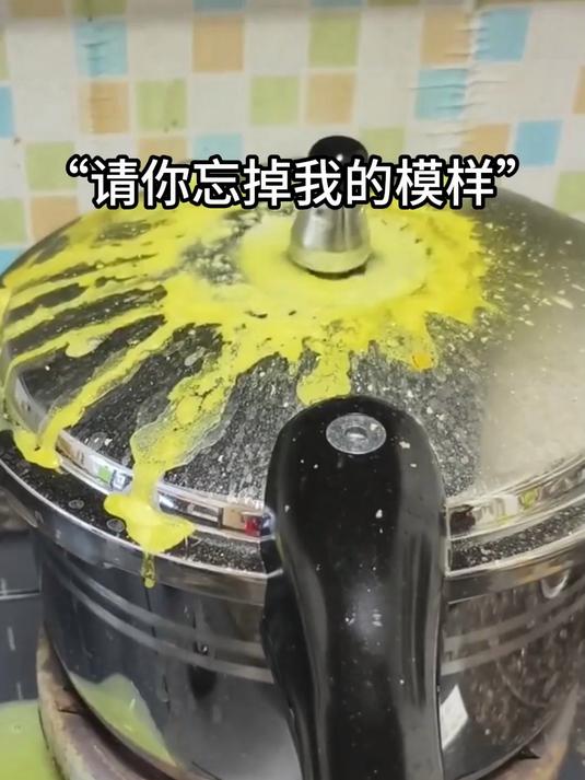 独居长辈做饭神器高压锅，小火快炖少费燃气，粗粮肉类炖至入口即化