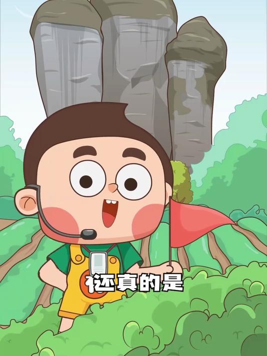 炖肉调料变身,肉桂茶的神秘面纱
