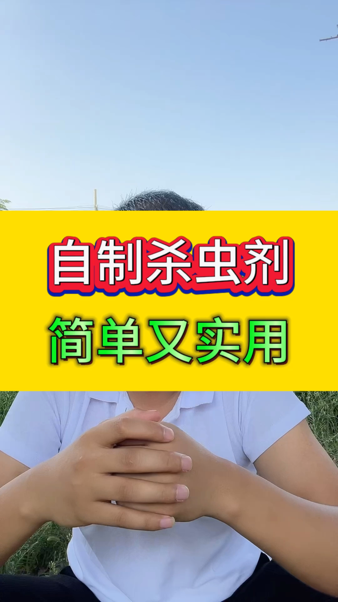 自制杀虫剂,简单又实用