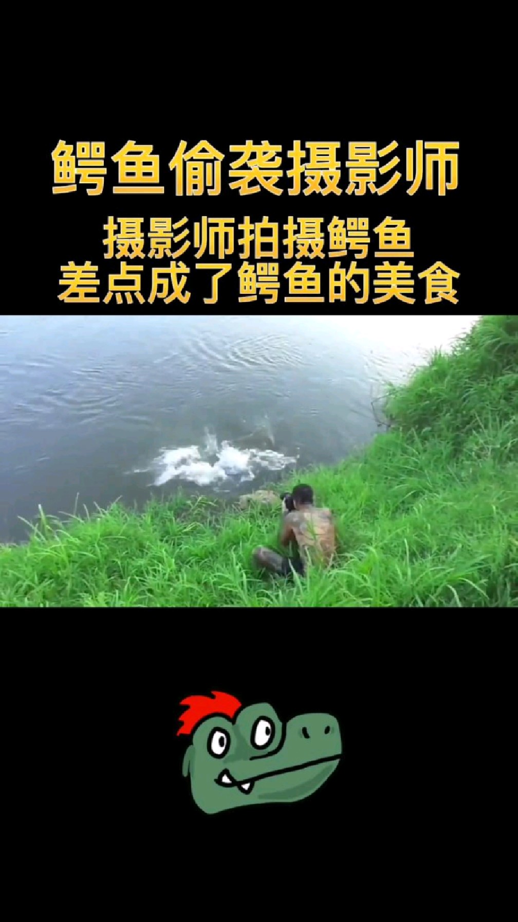 摄影师拍摄鳄鱼,结果差点成了鳄鱼的美食,这一幕太惊险了