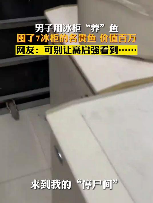 男子用冰柜“养”鱼，囤了7冰柜的名贵鱼价值百万