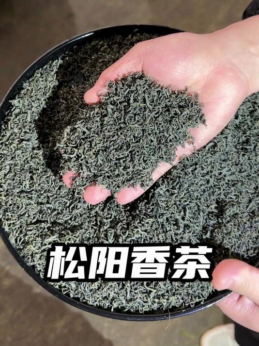浓香耐泡的松阳香茶来了,这款茶可是很多老茶客一直在等的,高浓的板栗香#绿茶##茶#