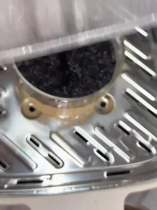 黑芝麻蒸蛋真实体验,食养效果看得见