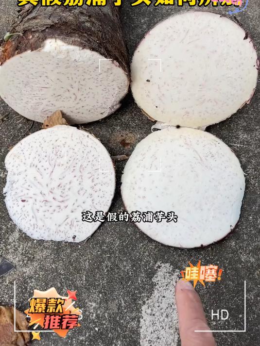 荔浦芋头炖五花肉,芋头比肉好吃