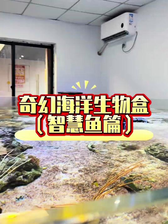 开到什么养什么！这回的鱼好有智慧！