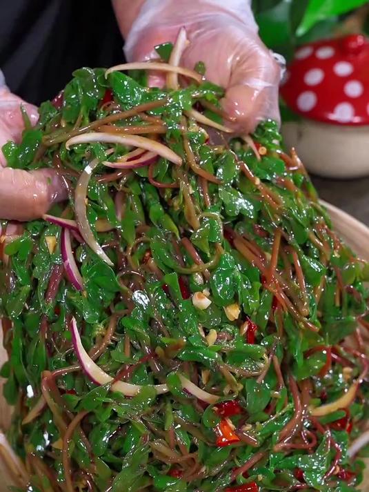 蚂蚁菜新吃法简单美味